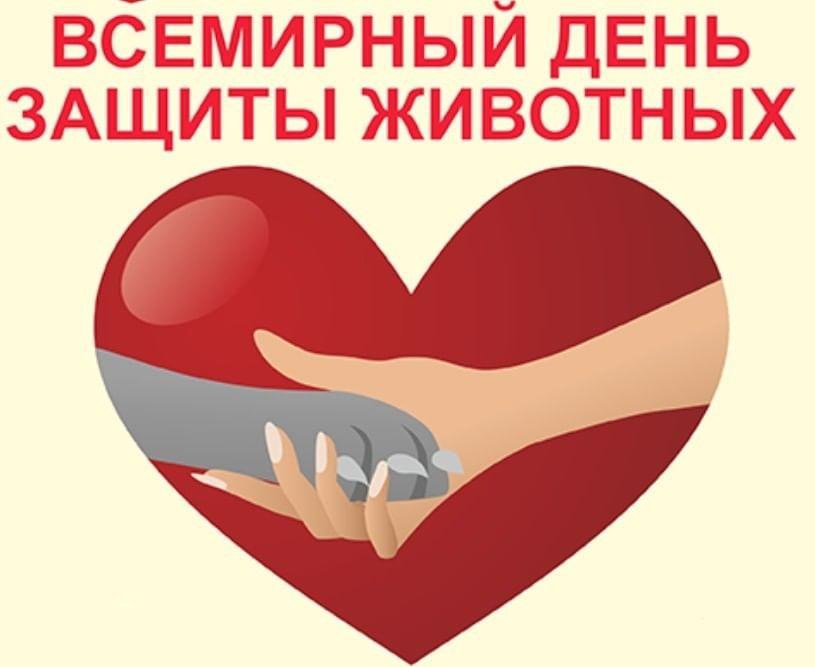 Wj79ufy9h80.jpg